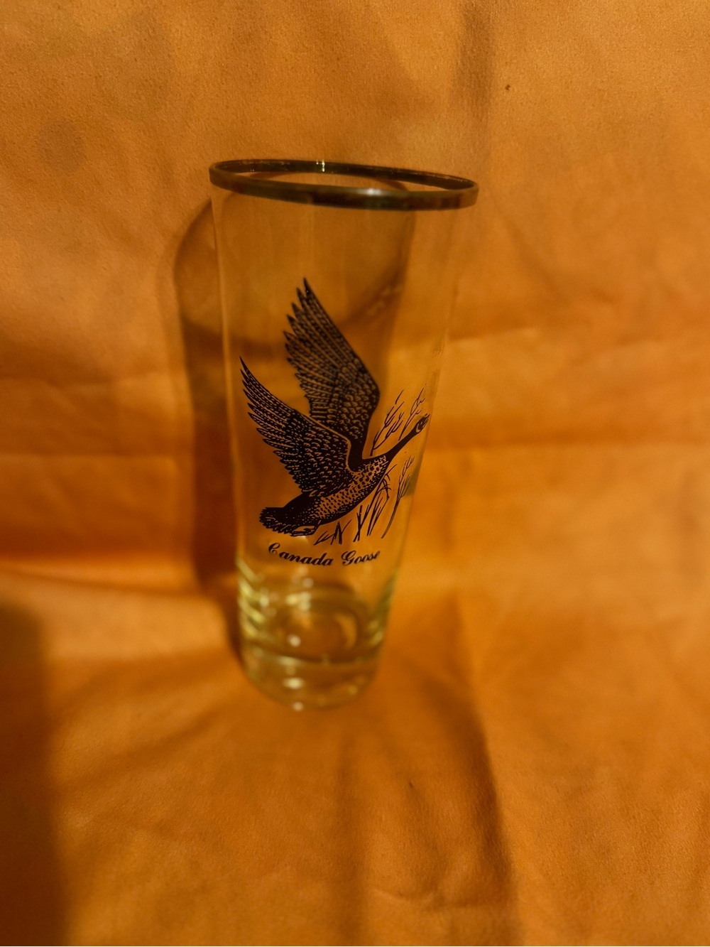 Canada Goose Illustrated Tall Shot Glass - Clear with Black Print